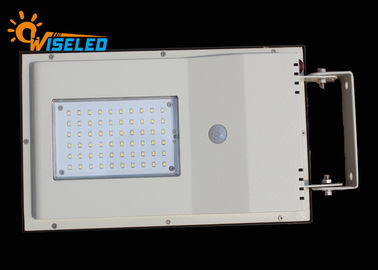 중국 휴대용 8W 정원 PIR 동의 Senser 통제를 가진 태양 LED 가로등 협력 업체