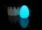 연약한 PVC는 3*LR44 건전지를 가진 참신 밤 빛 계란에 의하여 형성된 빛을 지도했습니다 협력 업체