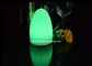 작은 LED 장식적인 테이블 램프, 재충전용 계란 모양 밤 빛  협력 업체