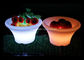 과일, 조명된 얼음 양동이를 위한 장식적인 LED 얼음 양동이 당 냉각기  협력 업체